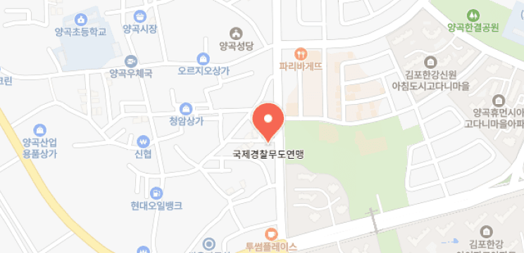 naver-map-image